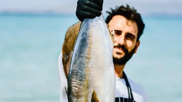 Ceviche, φυσικά κρασιά και tuna steak στα κάρβουνα: Το wine bistro "Salina" είναι από μόνο του λόγος για εκδρομή στο Βραχάτι