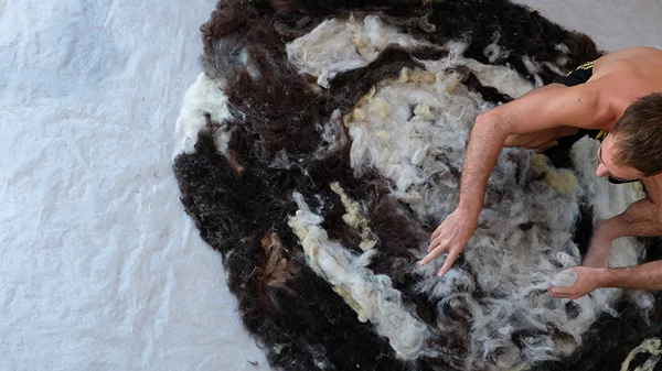 "Hermitage Sykaminea Gathering": το πρόγραμμα καλλιτεχνικής έκφρασης της Λέσβου διοργανώνει διήμερο δράσεων στην Αθήνα