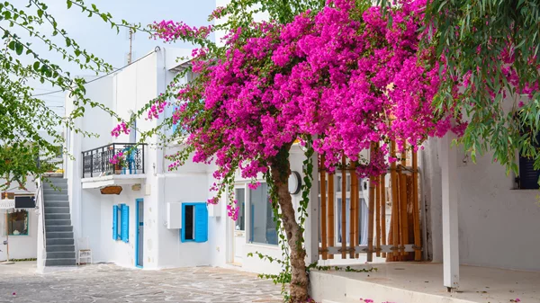 Αντίπαρος: Γιατί αγαπάμε το πιο μπουρζουά-μποέμ νησί του Αιγαίου;