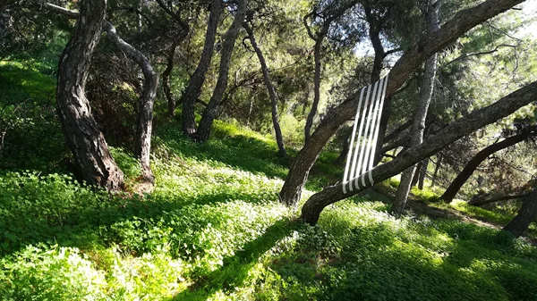 "Αθηναϊκές τοπογραφίες" στη Νέα Υόρκη από τη FokiaNou Art Space