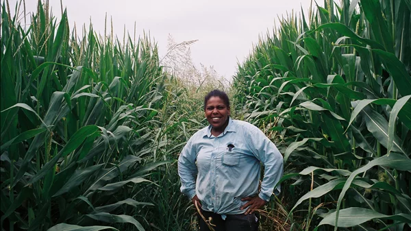 Μπήκαμε στο "Άβατο" των "Μαύρων του κάμπου" και των Latent Community