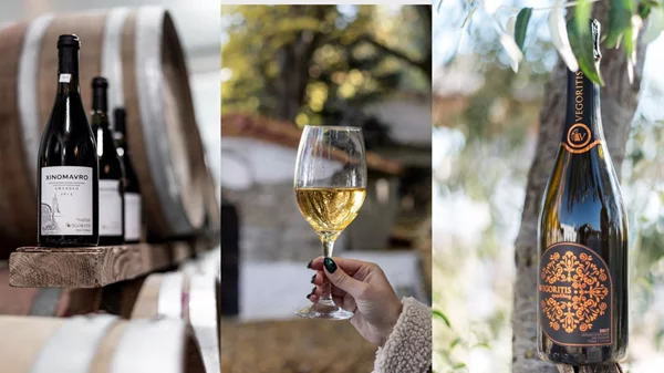 Δοκιμάζουμε δύο διαφορετικές "πτυχές" του Ξινόμαυρου από τον αμπελώνα των τεσσάρων Λιμνών