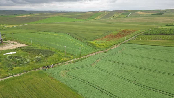 Διατροφικοί θησαυροί από το χωράφι στο τραπέζι