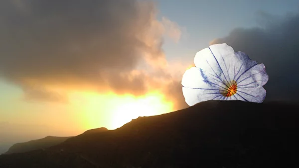 Η "Αγάπη μέσα από τα ερείπια" μας προτρέπει να φανταστούμε τον κόσμο του μέλλοντος