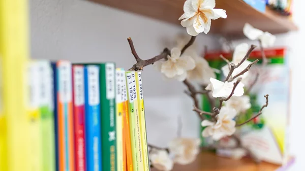 Ολοκληρώθηκε το έργο δημιουργίας 17 Ποιοτικών Δανειστικών Βιβλιοθηκών σε 11 σχολεία με μαθητές Ρομά και 6 σχολεία εντός Καταστημάτων Κράτησης