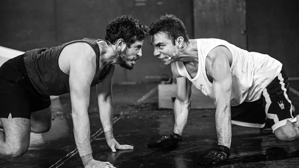 Φεστιβάλ Αθηνών: Τα "Σκυλιά" του Ανέστη Αζά έρχονται στην Πειραιώς 260