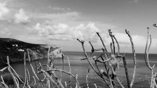 To Thees Art Festival στη Σίφνο "παντρεύει" την τέχνη με την παράδοση