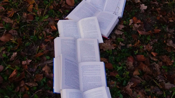 "Γιατί δεν μας διαβάζουν "έξω";": Μία συζήτηση με τον Δημοσθένη Κούρτοβικ για την ελληνική λογοτεχνία (μέρος α)