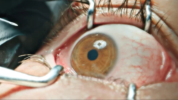 Λένε πως αυτή θα είναι μια από τις πιο τρομακτικές ταινίες του καλοκαιριού