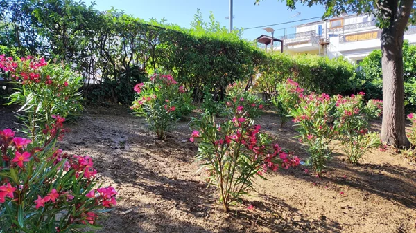 Ανάπλαση για 17 πλατείες και παιδικές χαρές του Δήμου Ηρακλείου Αττικής