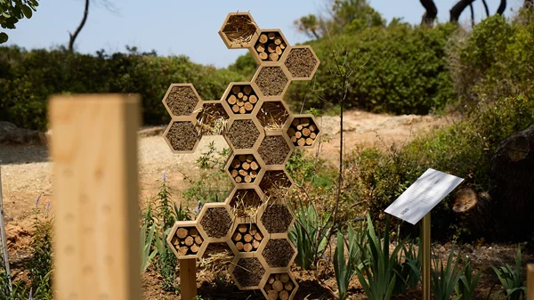 Το μεγαλύτερο Bee Spot στην Ελλάδα στο Sani Resort