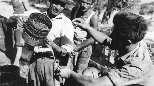 Γιατί έπρεπε να δημιουργηθεί ο Συνεταιρισμός της Σάμου;