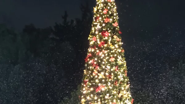 Περιφέρεια Αττικής: Φωταγωγήθηκε το Χριστουγεννιάτικο Δέντρο στο Πεδίον του Άρεως