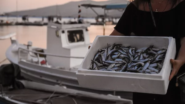 Όλα όσα θα δούμε τον Αύγουστο σε Αμοργό, Λέσβο, Κρήτη και Ρόδο