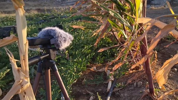 "το στόμα μπούκωσε με λόγια": Οι φωνές των κατοίκων της Μάρπησσας συναντούν τα λόγια αρχαίων ποιητών