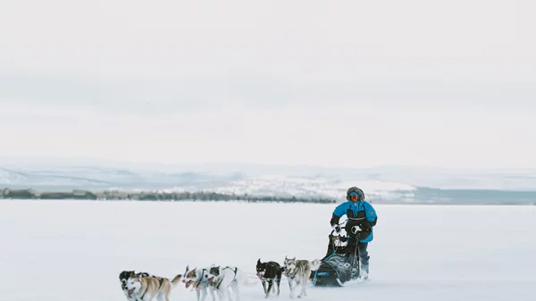 Fjällräven Polar 2024