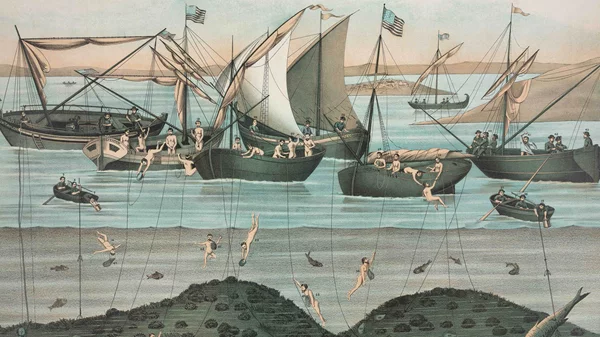 Η Camille Pradon συζητά με την Ελένη Ρήγα για το ζήτημα των μετασχηματισμών της υποβρύχιας βιοποικιλότητας