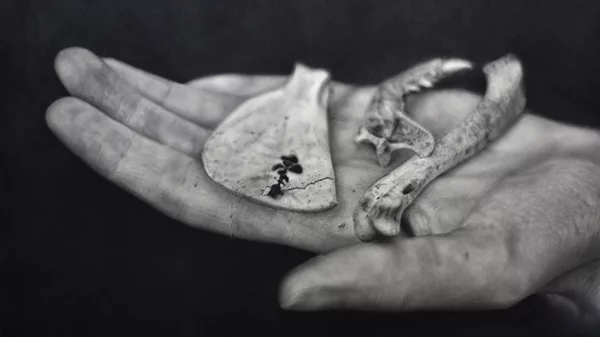 Η Πολυδραστική Εικαστική Έκθεση "ΕΚ-Πατρίδες" στην Αμαξοστοιχία-Θέατρο το Τρένο στο Ρουφ προσεγγίζει έννοιες που απασχολούν τις σύγχρονες κοινωνίες