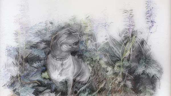 Οι "Διάφανοι κήποι" της Κωνσταντίνας Συλίκου στην Genesis Gallery