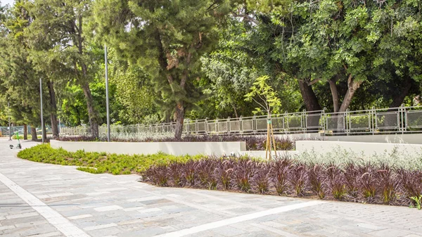 Ανοίγει ξανά η Βασιλίσσης Όλγας: Πιο πράσινη και φιλική στους πολίτες