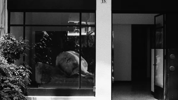 Τα φιλμ της Κατερίνας Κομιανού κι ένα τραγούδι των Metro Decay