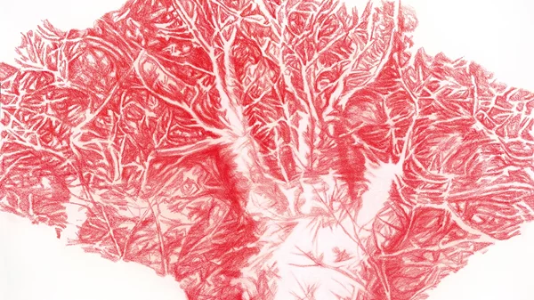 "Όνειρο στα δέντρα": Η Έλλη Κουτσουκέλλη παρουσιάζει δεκαπέντε μεγάλα έργα της με θέμα το δέντρο