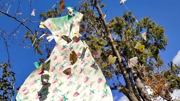 "Χαρταετοί πάνω από την πόλη": Δεκαπέντε καλλιτέχνες "πετούν" τους δικούς τους χαρταετούς