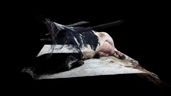 Τελευταία εβδομάδα για το Athens Photo Festival