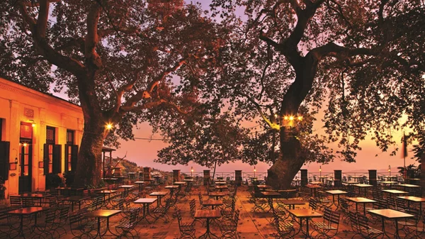 Επιστροφή στο Πήλιο