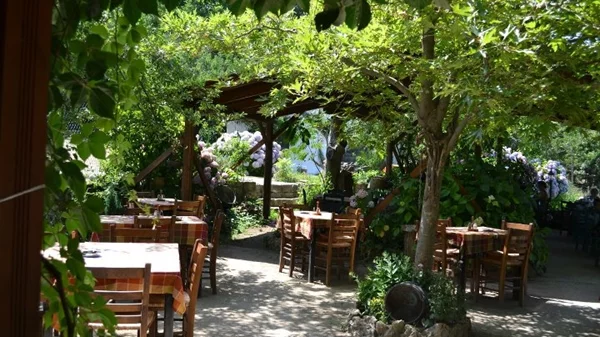 Καρυδιές / Σαμοθράκη