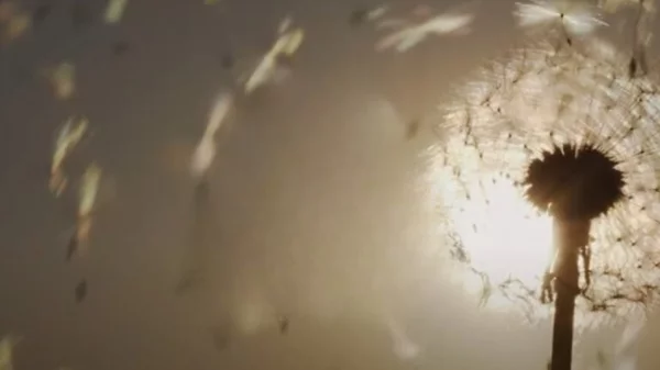 "(Α)όρατο Τραύμα": Η πρώτη πλήρως προσβάσιμη ψηφιακή έκθεση ζωγραφικής που αποκαλύπτει παιδικά τραύματα