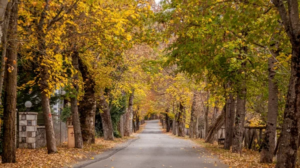 3 προορισμοί για το τριήμερο της 28ης Οκτωβρίου