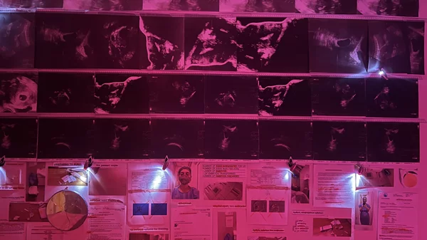 Η Αναστασία Καβαδά μετατρέπει το ΛΑΛΑ σε ένα χώρο αναστοχασμού και αναγέννησης γύρω από το τραύμα της α-γονιμότητας