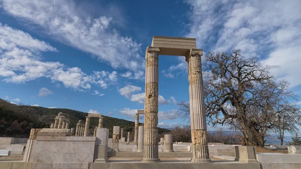 Διάλεξη για "Το Ανάκτορο του Φιλίππου Β’ στις Αιγές, μνημείο - Τοπόσημο της Μακεδονίας" στο Μουσείο Ακρόπολης