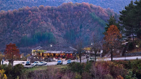 "Κανέλα & Γαρύφαλλο": Ένας παράδεισος των μανιταριών στα Ζαγοροχώρια