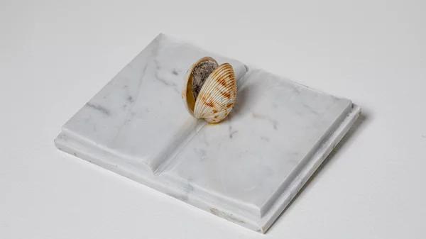 "Η αθέατη πλευρά της Σελήνης": H έκθεση της Mirella Bentivoglio στην αίθουσα τέχνης Gramma Epsilon και το Ιταλικό Μορφωτικό Ινστιτούτο