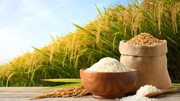 Για ένα Σαββατοκύριακο στο λιμάνι της Θεσσαλονίκης όλοι τρώμε ρύζι