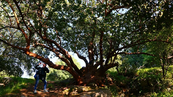 "The Water From Your Eye": Αναγνωστική περφόρμανς στο Tavros