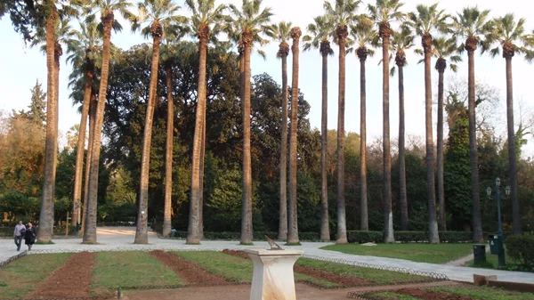 "Το Μουσείο Μπενάκη στον Εθνικό Κήπο": Καλοκαιρινό πρόγραμμα για παιδιά