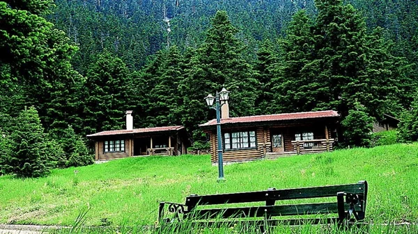 Λάμψα: Πώς προχωρούν οι επενδύσεις σε Ζαλοκώστα και Παρνασσό