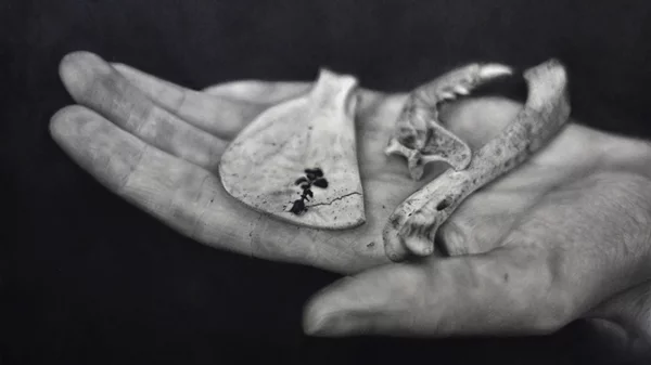 Υπαίθρια εικαστική έκθεση "Έν  δὲ λιμὴν εὔορμος"