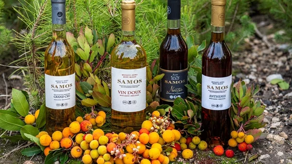 Τα ολόχρυσα συνεταιριστικά Μοσχάτα Σάμου αναδεικνύουν διαχρονικά το νησί