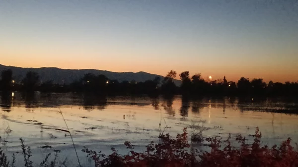 Ο οινολόγος Θάνος Καραθανος περιγράφει το βίωμά του κάνοντας κουπί στο βάλτο μετά τον κατακλυσμό στην Καρδίτσα