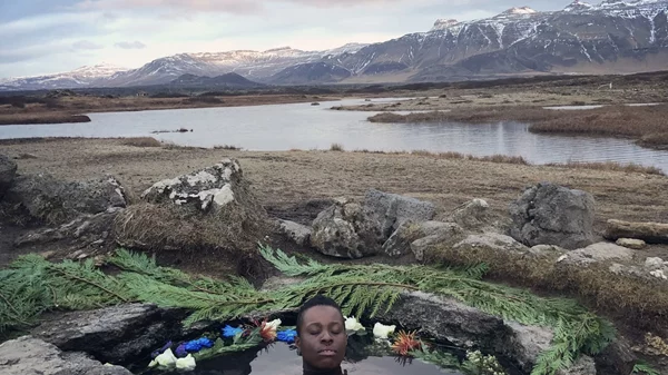 "Sheltered Gardens": Μια υβριδική έκθεση στον Βοτανικό Κήπο Διομήδους