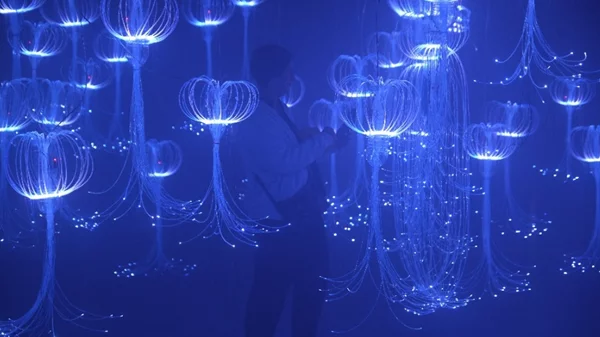 Medusa Valley: Η θάλασσα "αναδύεται" στην καρδιά της Αθήνας μέσα από χιλιάδες λαμπερές μέδουσες