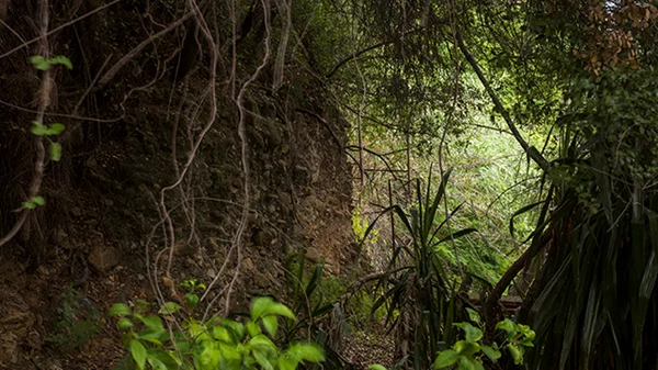 Ο Δημήτρης Τσουμπλέκας μας καλεί στον "Αμαζόνιο" της παιδικής του ηλικίας