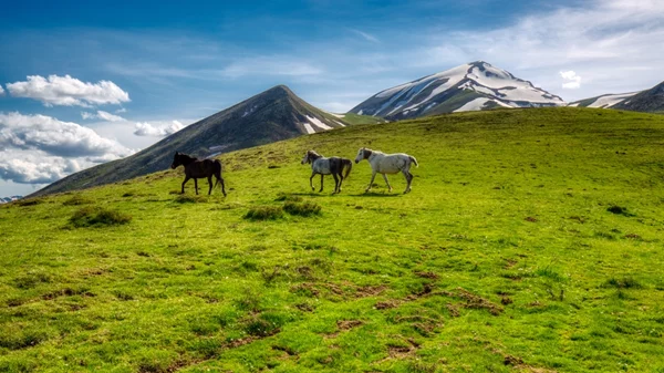 Οι καλύτεροι χειμερινοί προορισμοί της Ελλάδας: Άγραφα