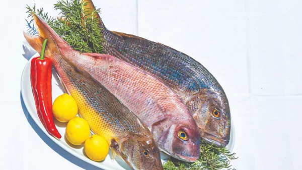 ''Ζέφυρος'': Πρώτο τραπέζι θάλασσα