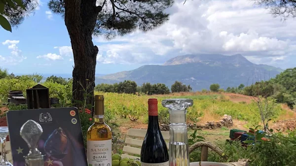 Κινέζοι εισαγωγείς "μέθυσαν" με Σαμιώτικο Μοσχάτο