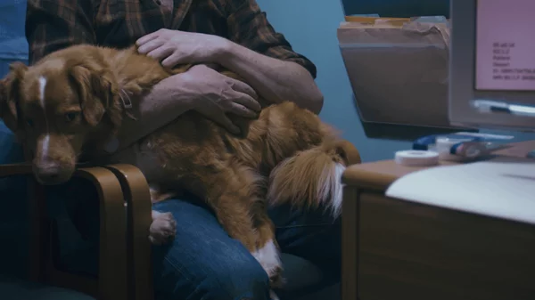 Good Boy: Η horror έκπληξη της χρονιάς έχει πρωταγωνιστή έναν αξιαγάπητο σκύλο